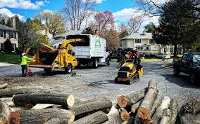 Best Tree Maintenance Programs  in Geronimo, OK